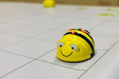 Foto eines Beebots (Bienenroboter)