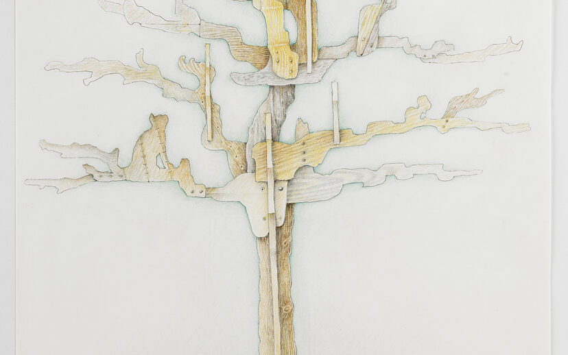 Baum 15.v.15, Bleistift-, Feder- und Farbstiftzeichnung, 2015