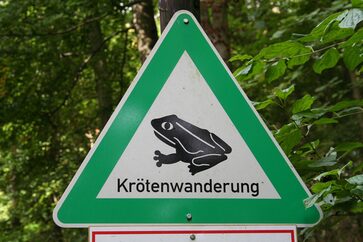 Krötenwanderung, Amphibienwanderung Verkehrsschild Symbolfoto