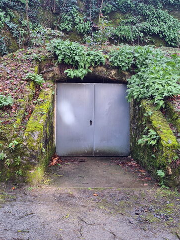 Diese grün umrankte Tür am Hausertor führt in den Wetzlarer Untergrund.